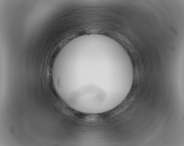 X0000115590761200911100931