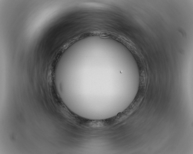 X0000115590762200911100931