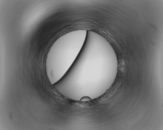 X0000115590763200911100931
