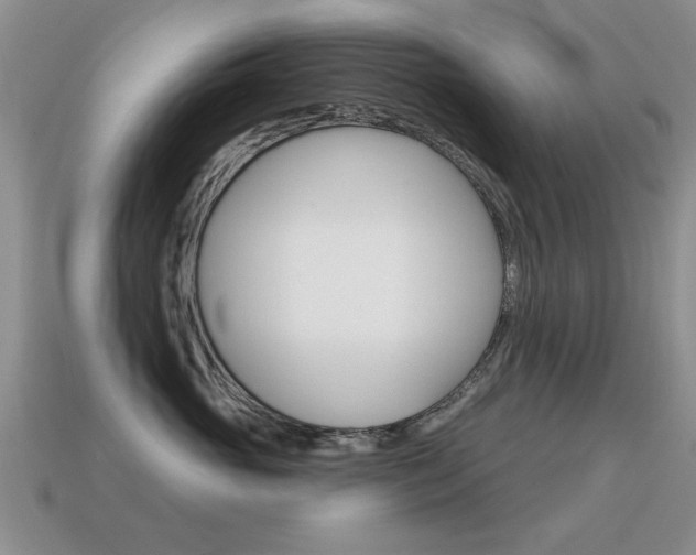 X0000115590765200911100931