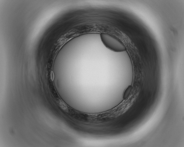 X0000115590766200911100931