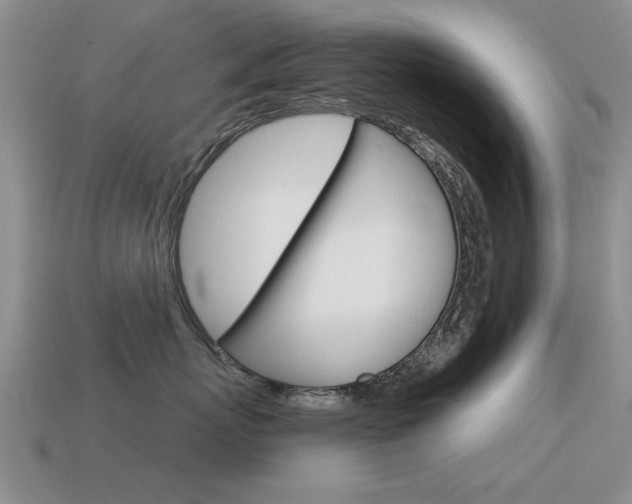 X0000115590767200911100931