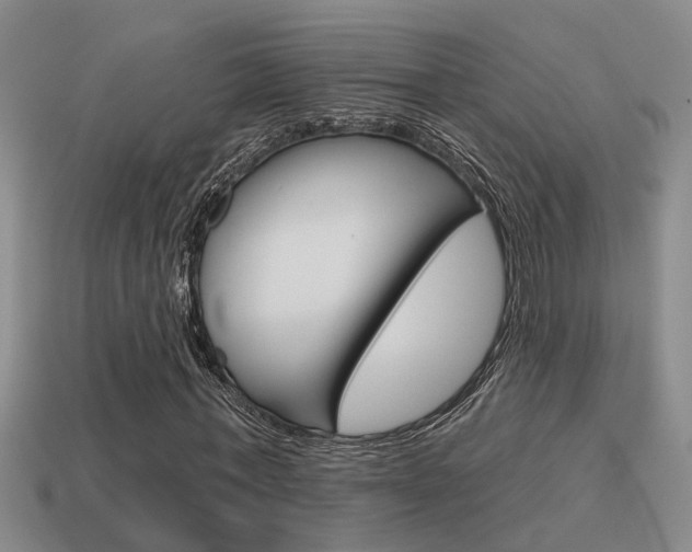 X0000115590771200911100930