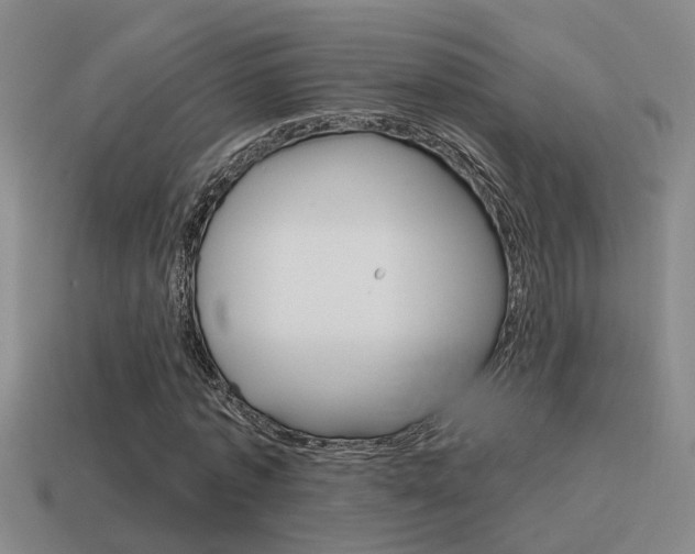 X0000115590773200911100930