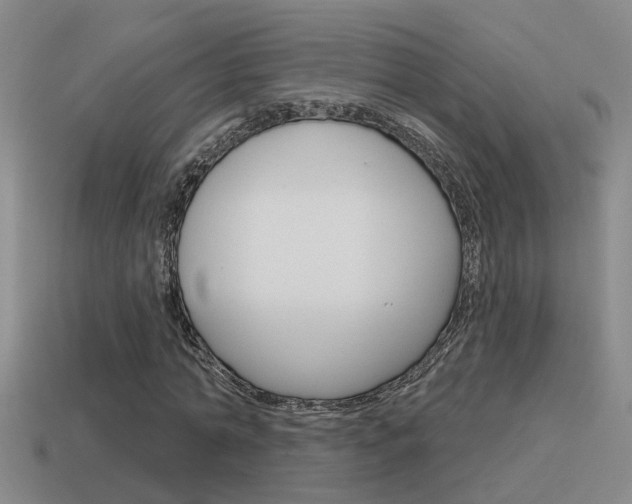 X0000115590774200911100930