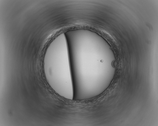 X0000115590776200911100930
