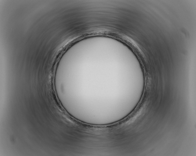 X0000115590778200911100930