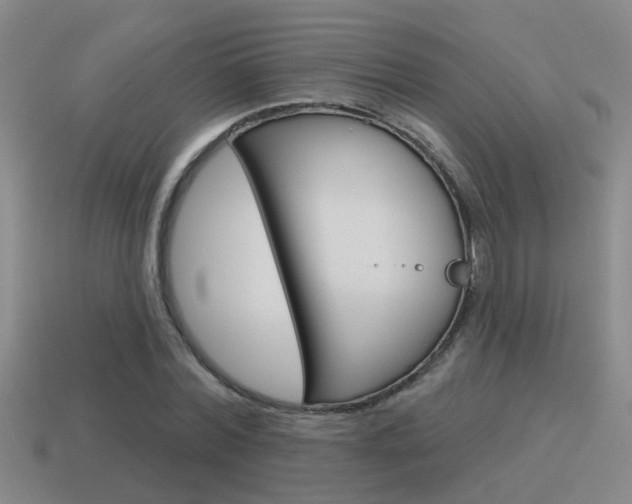 X0000115590780200911100930