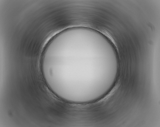X0000115590781200911100930
