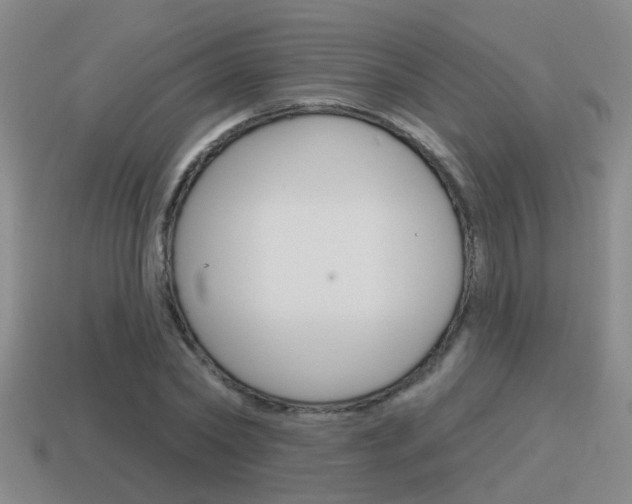 X0000115590782200911100930
