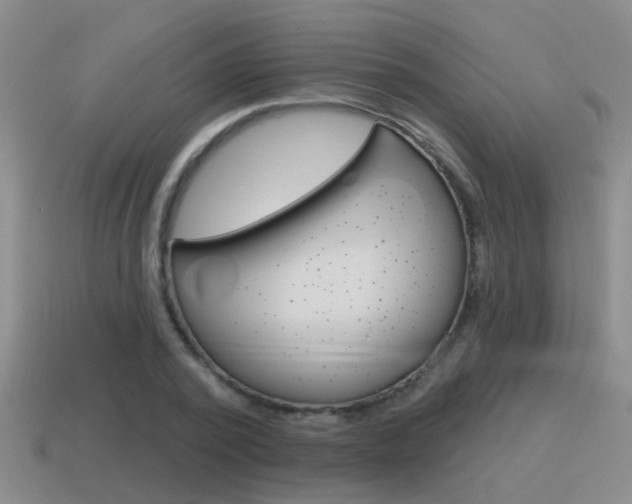 X0000115590784200911100930