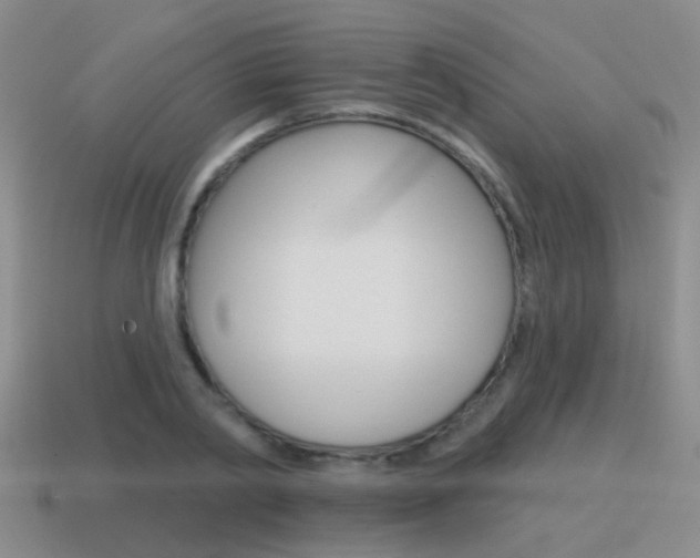 X0000115590790200911100930