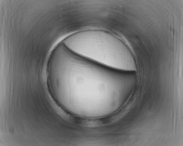 X0000115590795200911100930