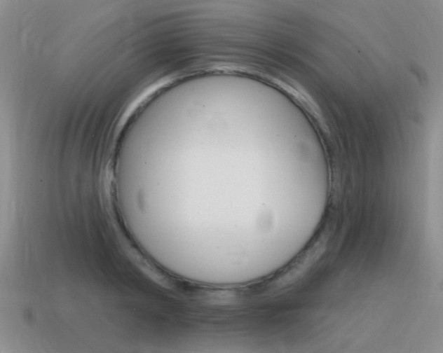 X0000115590798200911100930