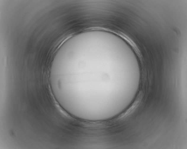 X0000115590801200911100930