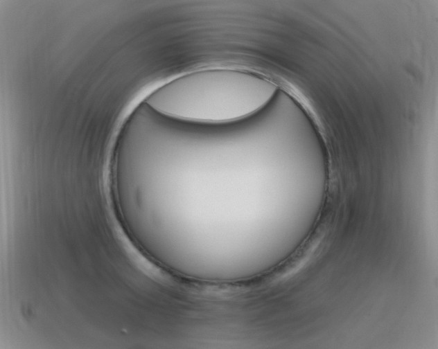 X0000115590803200911100930