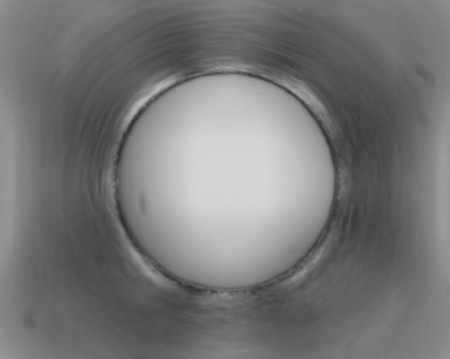 X0000115590806200911100930
