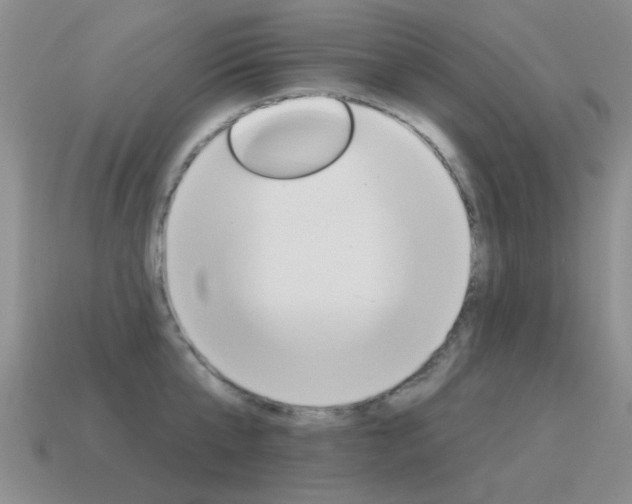 X0000115590807200911100930