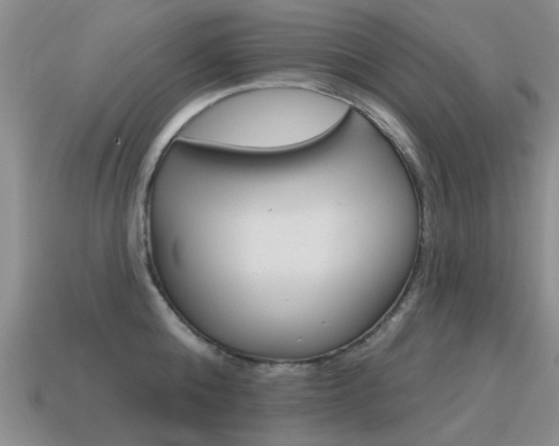 X0000115590808200911100930
