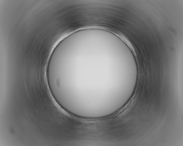 X0000115590813200911100930