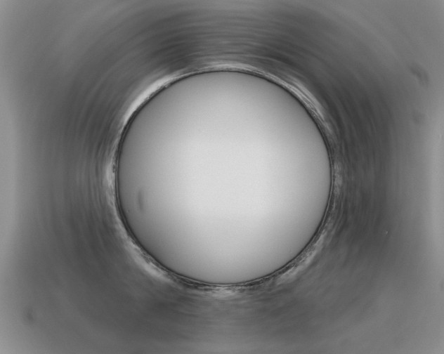X0000115590814200911100930