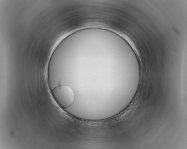 X0000115590815200911100930