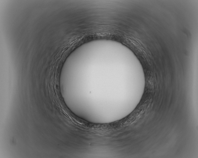 X0000115590817200911100929