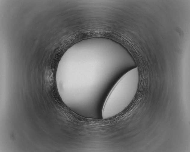 X0000115590818200911100929