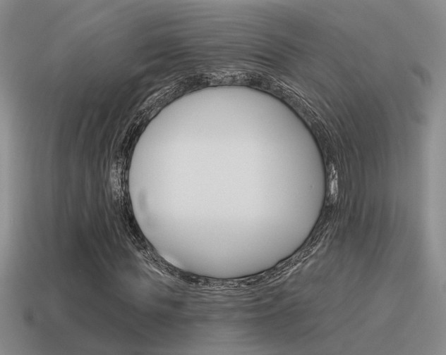 X0000115590819200911100929