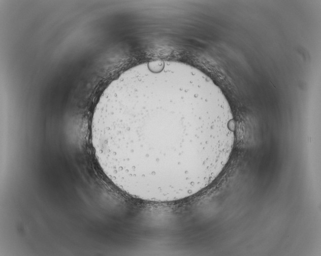 X0000115590820200911100929