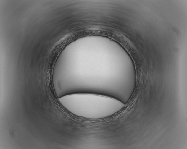 X0000115590821200911100929