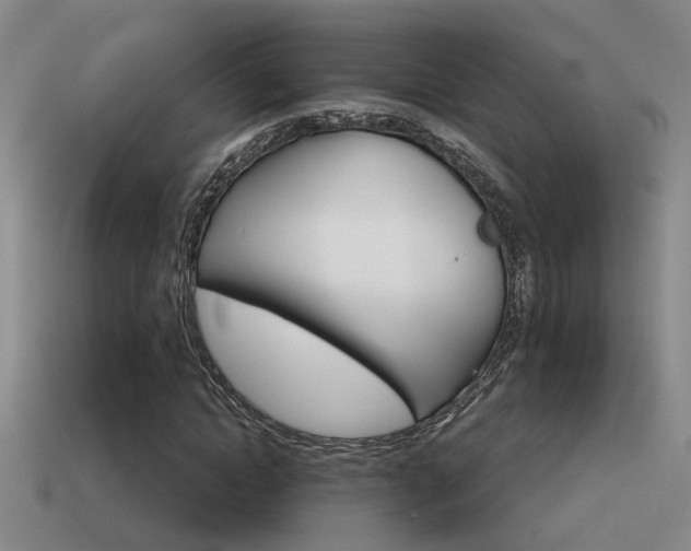 X0000115590822200911100929