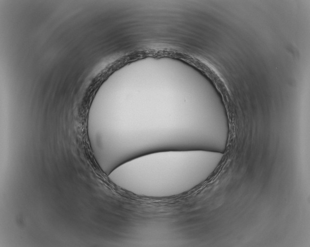 X0000115590823200911100929