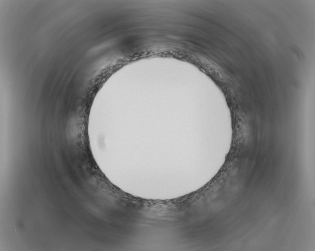 X0000115590824200911100929