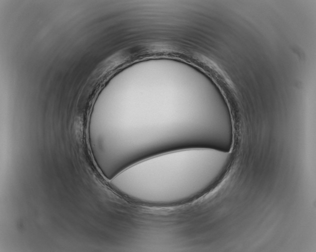 X0000115590825200911100929