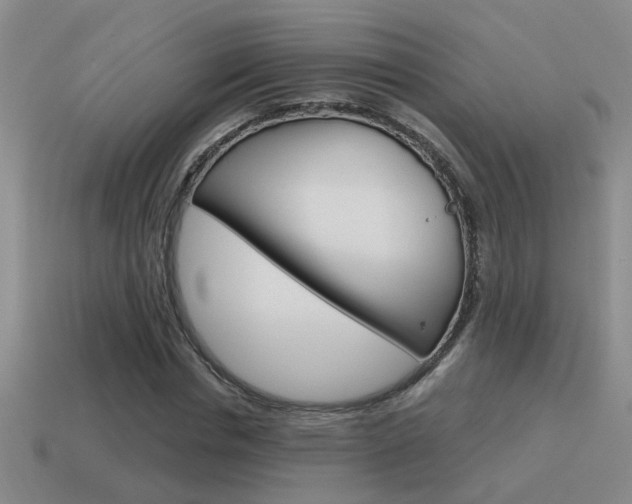X0000115590826200911100929