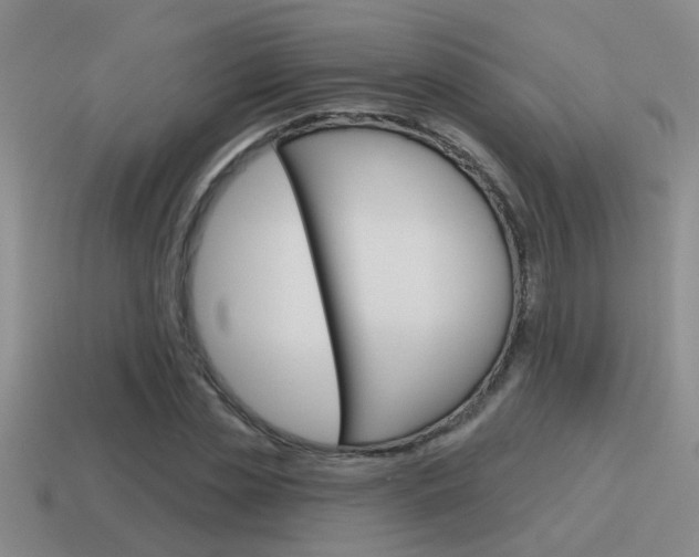 X0000115590829200911100929
