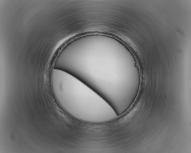 X0000115590830200911100929