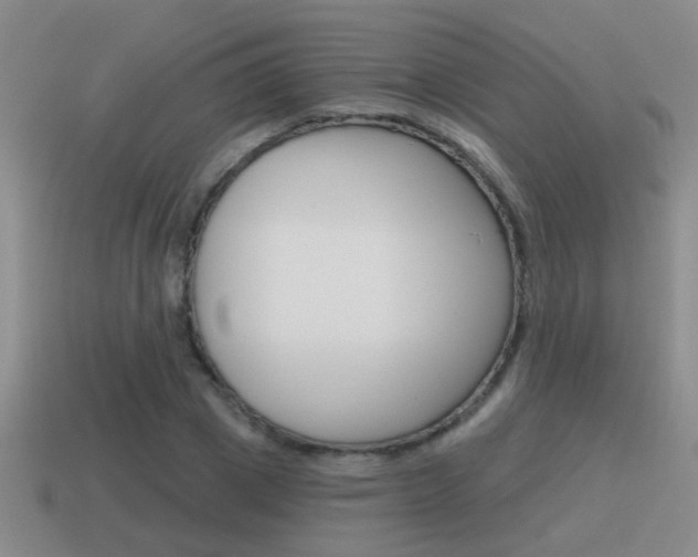 X0000115590833200911100929