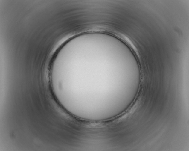 X0000115590835200911100929