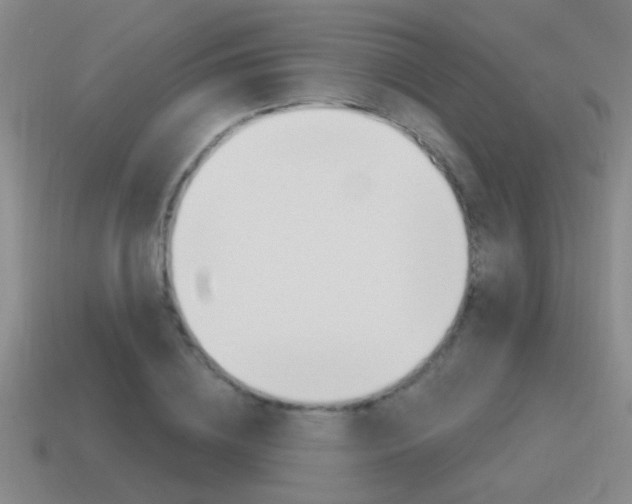 X0000115590836200911100929