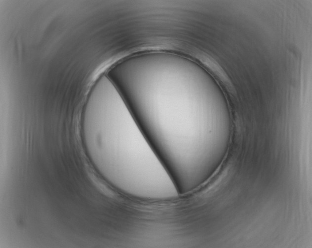 X0000115590842200911100929