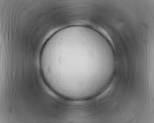 X0000115590843200911100929