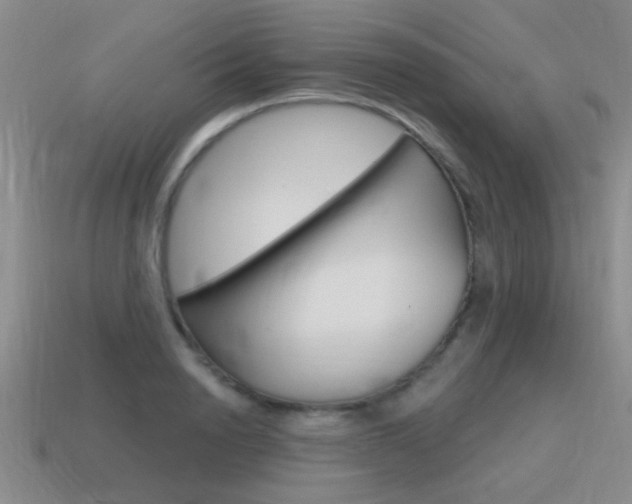X0000115590846200911100929