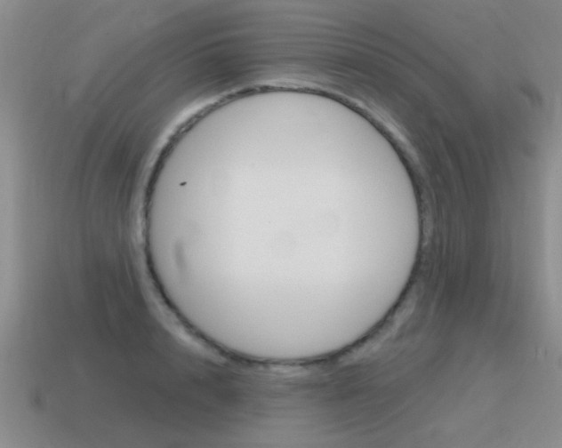 X0000115590848200911100929