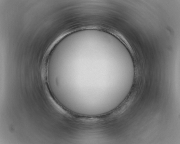 X0000115590851200911100929
