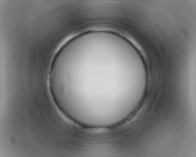 X0000115590853200911100929