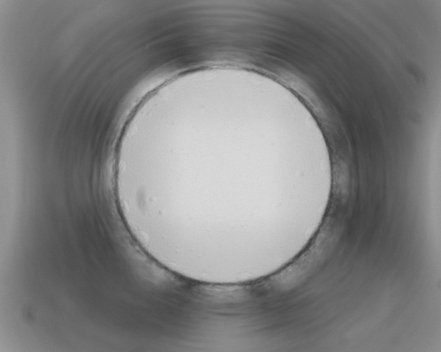 X0000115590856200911100929