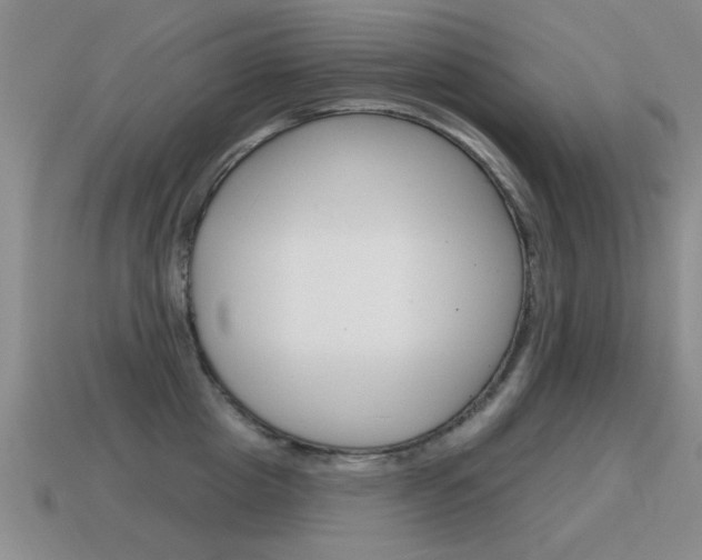 X0000115590857200911100929