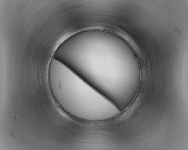 X0000115590858200911100929